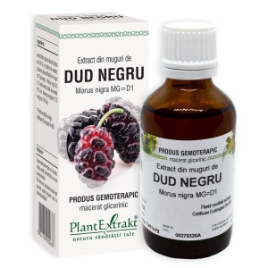 Extract din muguri de Dud Negru, 50ml, PlantExtrakt