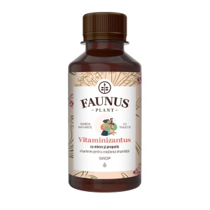 Sirop cu miere și propolis Vitaminizantus, 200 ml, Faunus Plant