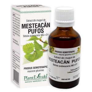 Extract din muguri de Mesteacan Pufos, 50ml, PlantExtrakt