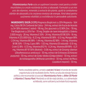 Vitaminizantus Forte multivitamine și minerale, 90 capsule, Faunus Plant - Img 5