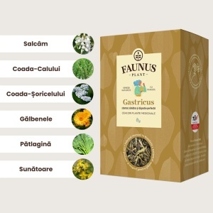 Ceai Gastricus, 90 g, Faunus Plant - Img 4