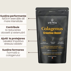 Colagenus Creatine Boost – Colagen pudra cu creatina, MSM și acid hialuronic, 457 g, aromă lămâie, Faunus Plant - Img 5