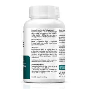 Creatine, 1000 mg, 60 capsule, Zenyth - Img 2