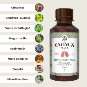 Sirop cu miere și propolis Respiratorus, 200 ml, Faunus Plant - Img 3