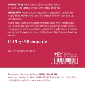 Vitaminizantus Forte multivitamine și minerale, 90 capsule, Faunus Plant - Img 6