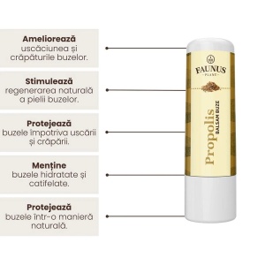 Balsam de buze cu Propolis, 5 ml, Faunus Plant - Img 4