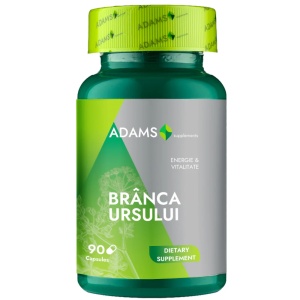 Branca ursului, 90 capsule, Adams