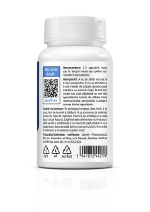 B Complex Daily, 60 capsule, Zenyth - Img 3