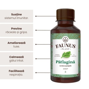 Sirop Pătlagină cu Miere și Propolis, 200 ml, Faunus Plant - Img 3