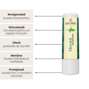 Balsam de buze cu Ulei esențial de mentă, 5 ml, Faunus Plant - Img 4