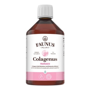 Colagen lichid pentru piele și păr Colagenus Frumusețe, 500 ml, Faunus Plant