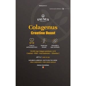 Colagenus Creatine Boost – Colagen pudra cu creatina, MSM și acid hialuronic, 457 g, aromă lămâie, Faunus Plant - Img 6