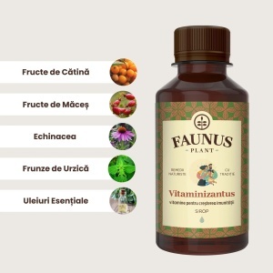 Sirop Vitaminizantus, 200 ml, Faunus Plant - Img 3