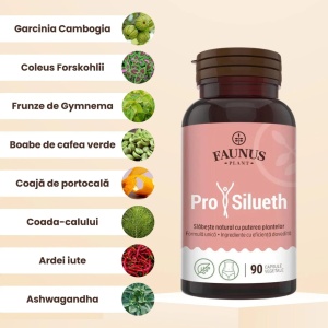 Capsule pentru arderea grasimilor si reducerea apetitului Prosilueth, 90 capsule, Faunus Plant - Img 6