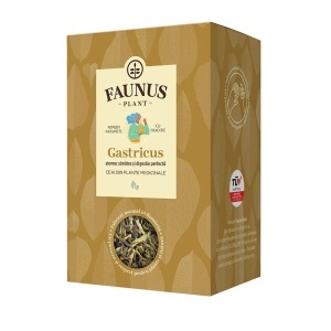Ceai Gastricus, 90 g, Faunus Plant - Img 2