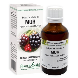 Extract din mladite de mur, 50ml, PlantExtrakt