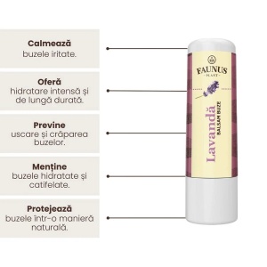 Balsam de buze cu Lavandă, 5 ml, Faunus Plant - Img 4
