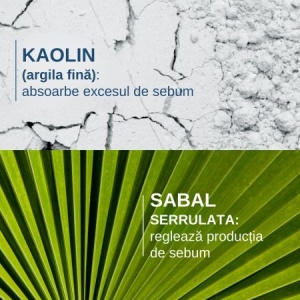 Șampon pentru reglarea sebumului Sabal Argeal, 200 ml, Ducray - Img 8