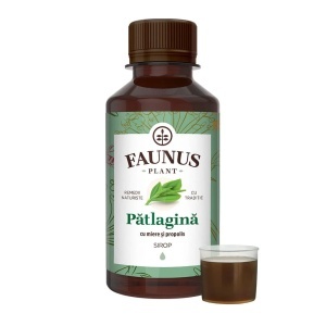 Sirop Pătlagină cu Miere și Propolis, 200 ml, Faunus Plant - Img 4
