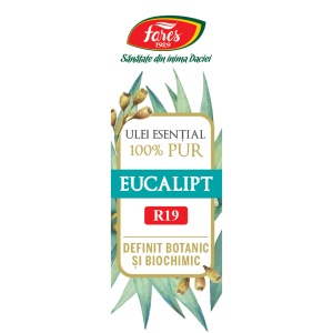 Ulei esential de eucalipt R19, 10 ml, Fares - Img 4