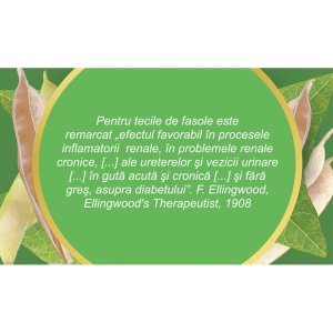 Ceai Teci de Fasole U 93, 50 g, Fares - Img 2