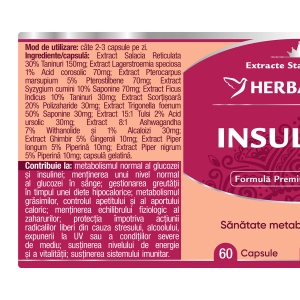 Insulinat, 60 capsule, Herbagetica - Img 2