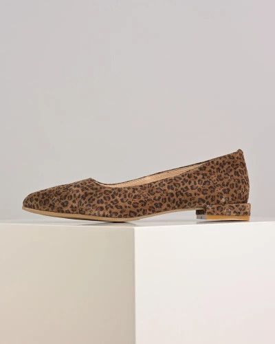 Leopard baletanke u špic, slika 2