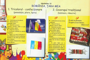 Arte vizuale și abilități practice, Clasa Pregătitoare - Img 5