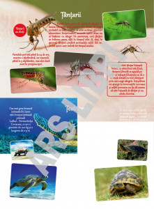 Curiozități despre animale - Img 2