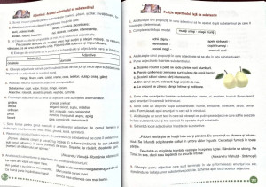 Exerciții de Limba și Literatura Română, Clasa a IV-a - Img 4