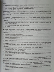 Literatura romana pentru Evaluarea Nationala. Aplicatii, teste, sugestii de rezolvare - Img 3