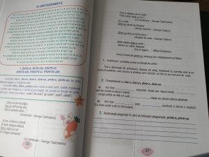 Ortografia și punctuația la clasele primare și gimnaziale - Img 6