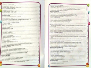 Matematica și explorarea mediului, Clasa pregătitoare - Caiet de lucru - Img 4