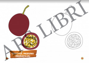 Colorăm şi învăţăm - Fructe exotice - Img 4