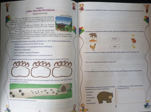 Fişe interdisciplinare, Clasa a II-a Activități integrate - Img 5