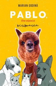 Pablo, the alpaca. Scrisoarea de Marian Godină, 2019
