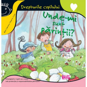 Unde-mi sunt părinții?/ DREPTURILE COPILULUI/PRINCIPIUL 6