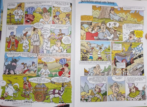 Amintiri din copilărie. Povestiri – Benzi desenate - Img 4