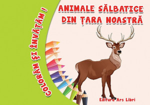 Colorăm şi învăţăm - Animale sălbatice din ţara noastră