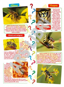 În lumea misterelor (despre plante și animale) - Img 2