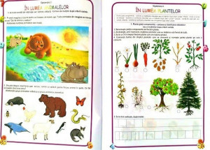 Matematica și explorarea mediului, Clasa pregătitoare - Caiet de lucru - Img 6