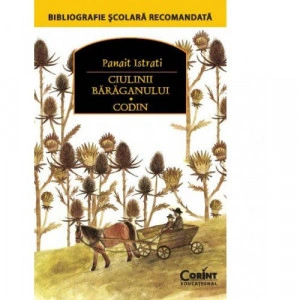 Ciulinii bărăganului. Codin