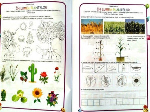 Matematica și explorarea mediului, Clasa pregătitoare - Caiet de lucru - Img 7