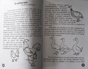 O Lume Minunată (lecturi de vacanță) - Clasa a II-a - Img 6