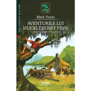 Aventurile lui Huckleberry Finn