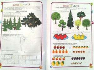 Matematica și explorarea mediului, Clasa pregătitoare - Caiet de lucru - Img 8