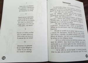 O Lume Minunată (lecturi de vacanță) - Clasa a I-a - Img 2