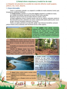 Ştiinţe ale naturii - Caiet de lucru, clasa a IV-a - Img 3