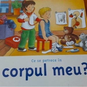 Ce se petrece in corpul meu