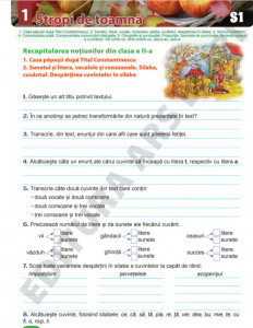Descoperim împreună limba și literatura română! - Caiet de lucru clasa a III-a - Img 3